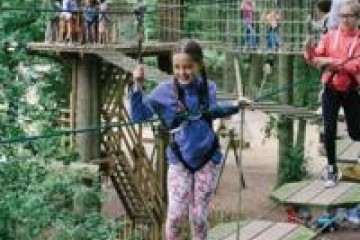 GO APE - Tree Top JUNIOR at Beechenhurst Lodge